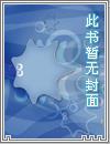 永恒核心碎片
